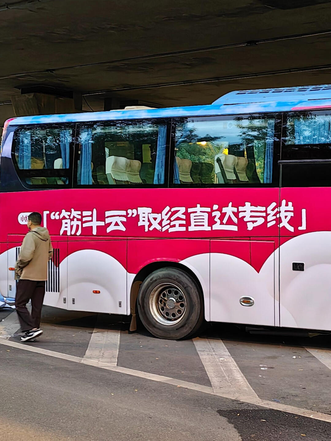 免费小红巴游大同‼️
