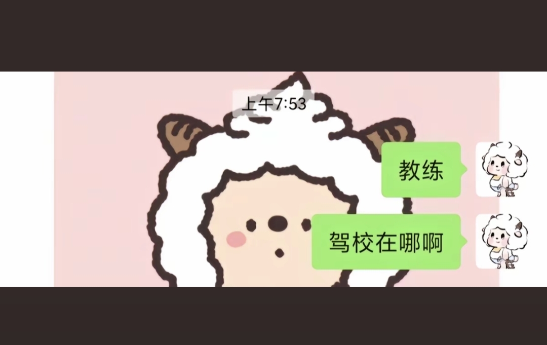 大学生学驾照现状