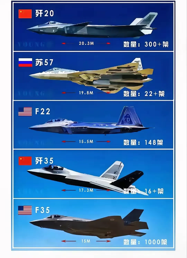 综合各项因素及权重，歼20以4650分高居榜首。

如图单纯的以100分制来考虑
