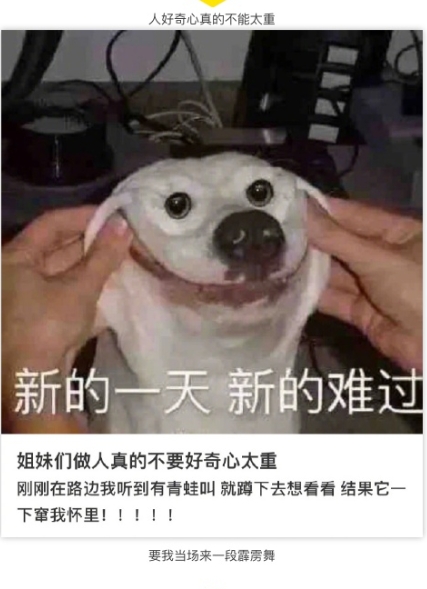 人好奇心真的不能太重
