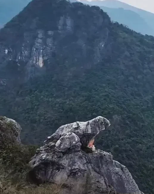 村民去山上采药材，无意中拍到了一块奇怪的石头。这块石头犹如一只金蟾卧在一块大石头