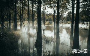 村里一口索命池塘，居然牵扯出一段陈年旧怨