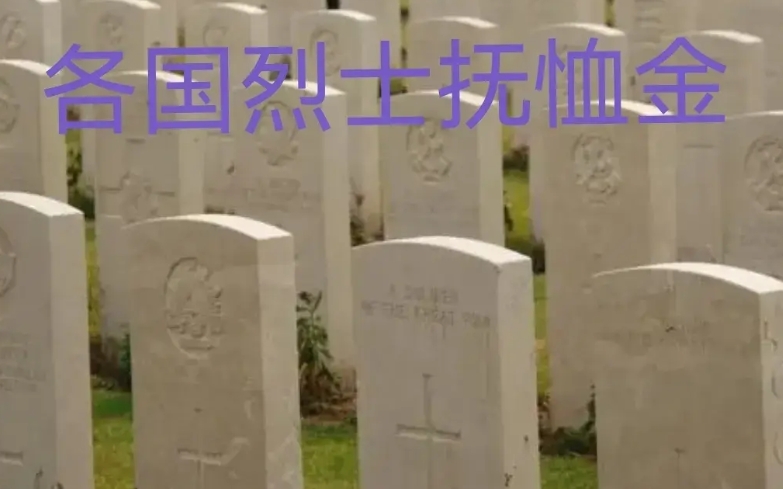 世界各国士兵牺牲抚恤金：

第一名：美国：50万美元（人民币约370万）
第二名
