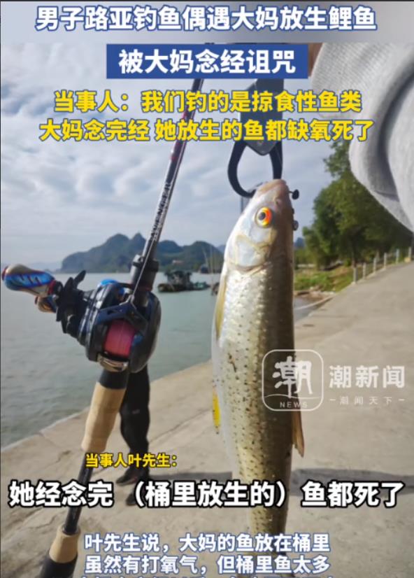 太奇葩了！广东，小伙钓鱼时偶遇一大妈正在放生鲤鱼，还遭到对方念佛经“诅咒”！让小
