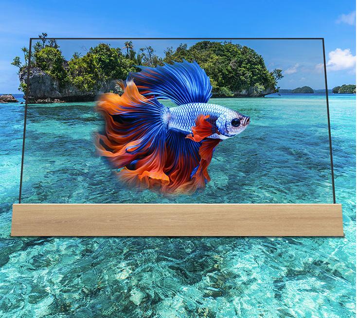 66900 元，飞利浦推出“水木清华”55 英寸透明 OLED 电视