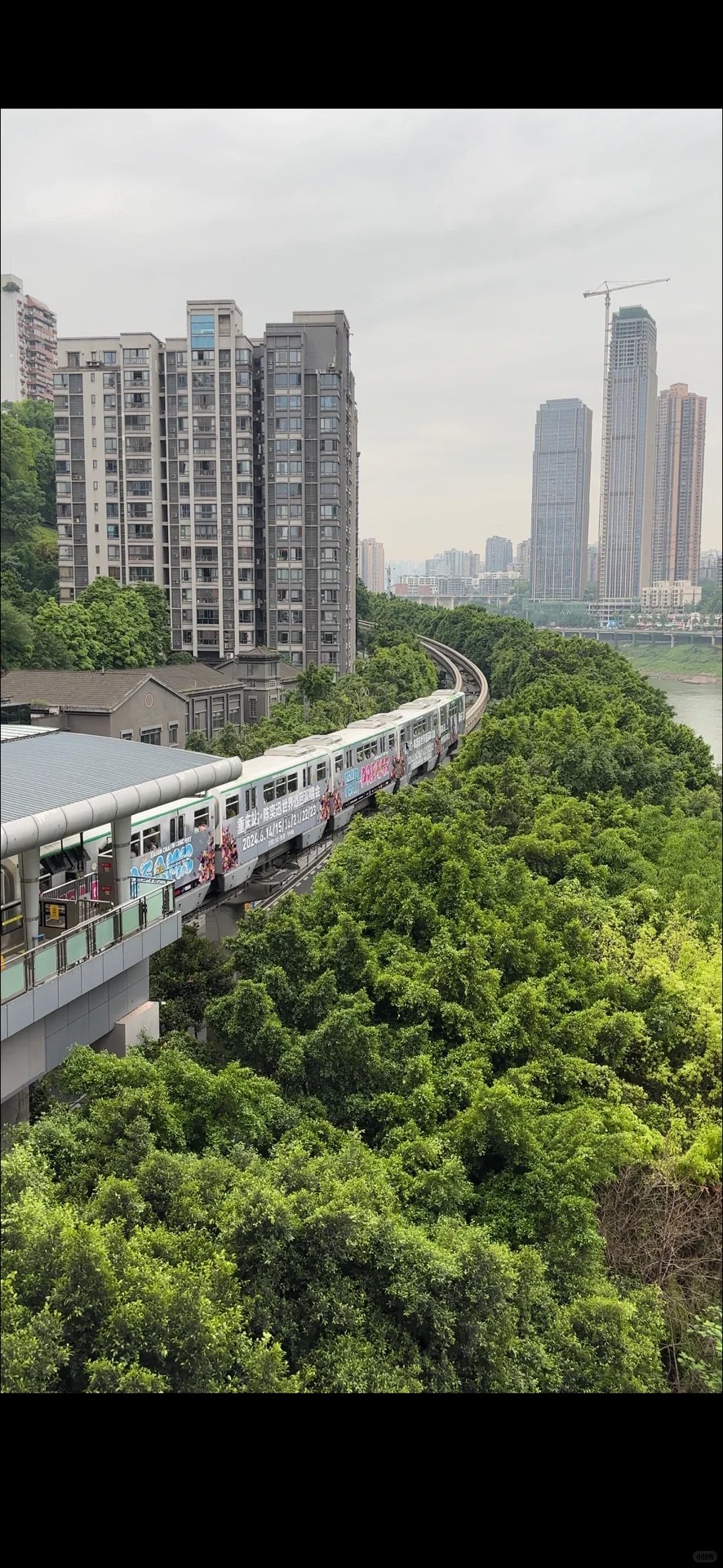 重庆轻轨五一涨价了？
从临江门坐到袁家岗，扣了十元的费用，是太久没有坐轻轨了还是