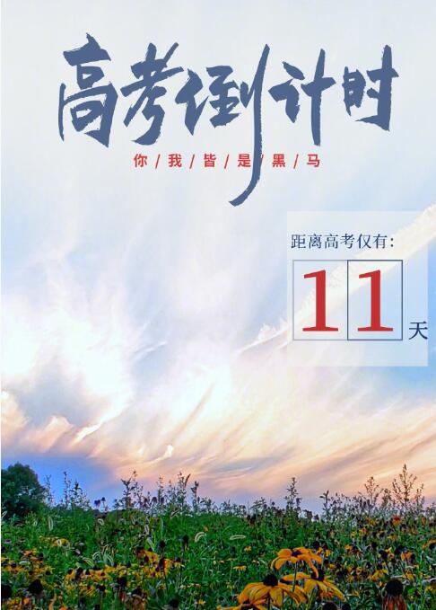 2024年5月25日，距离高考仅剩11天。这是一个特别的日子，一个充满挑战与机遇