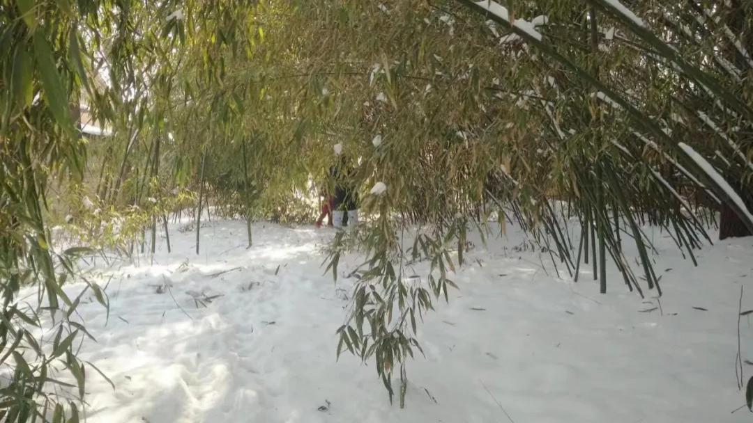 河南老家：小时候下雪天的难忘回忆