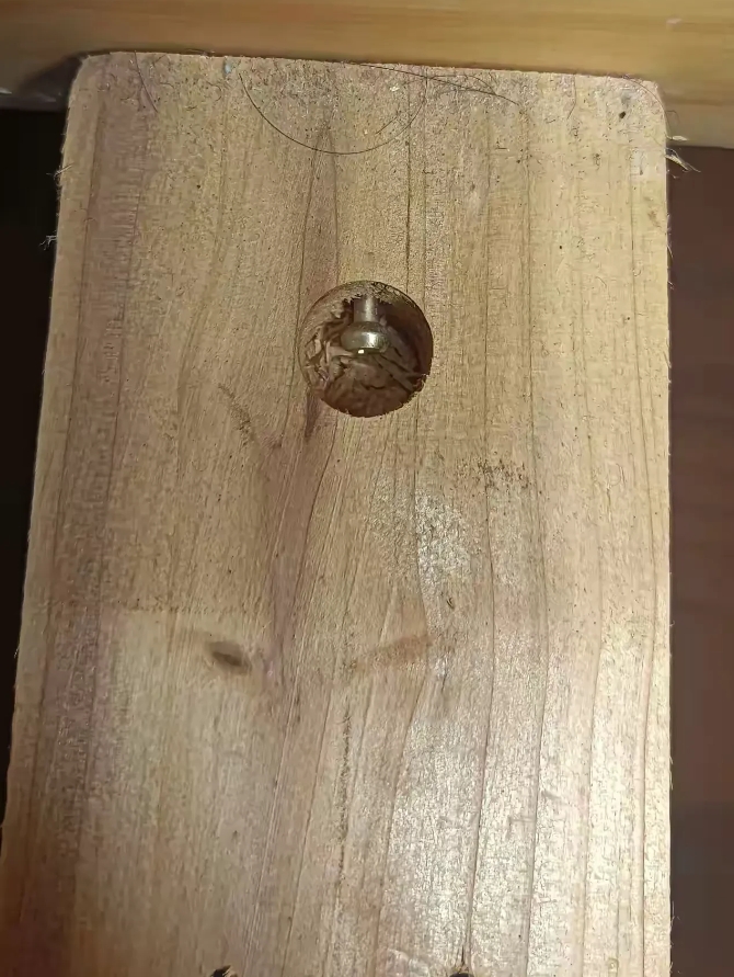 哪位大神知道这是怎么装进去的？