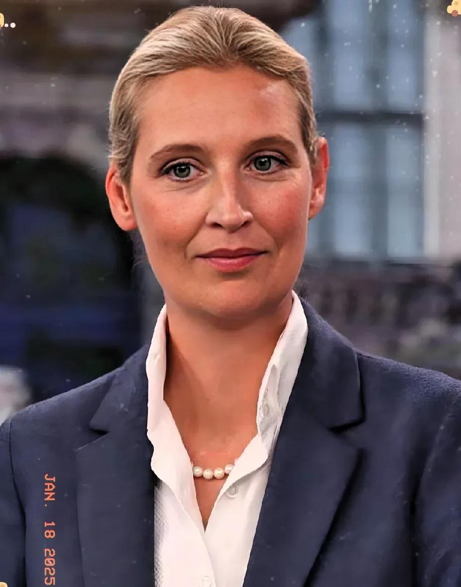 魏德尔真的是敢说！！
魏德尔：欧美及其盟友总是说东大国不尊重主权，不干涉他国内