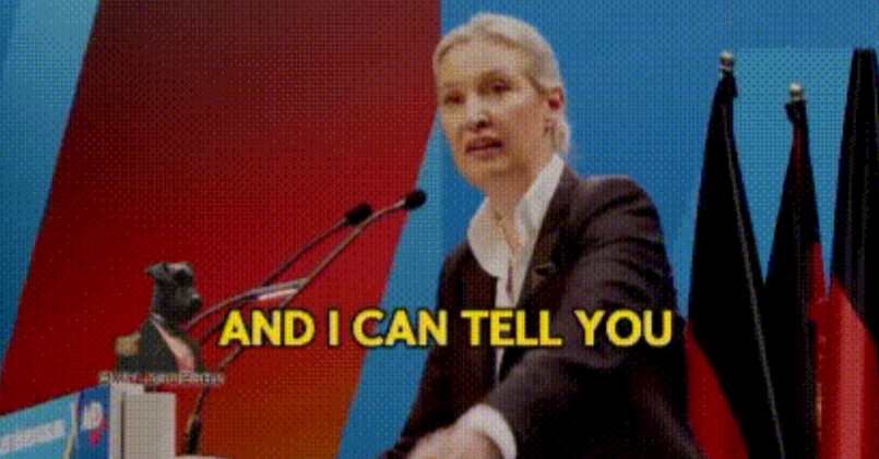 德国选择党领袖魏德尔承诺：一旦当选，将拆除德国所有风电厂。
每个人都有自己的想法