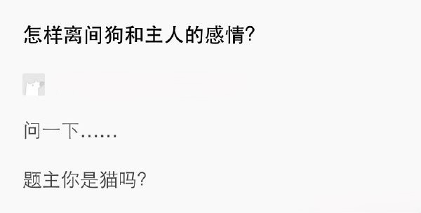 怎样离间狗和主人的感情？