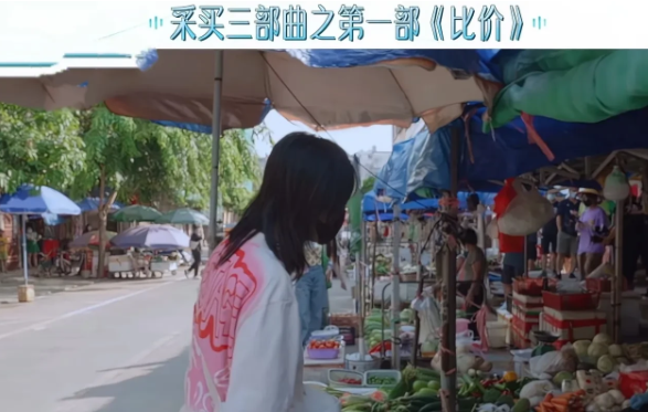 张天爱在海南的摊子前问土豆多少钱，大部分老板都说3元，突然赵梦大声呼喊着:“同志