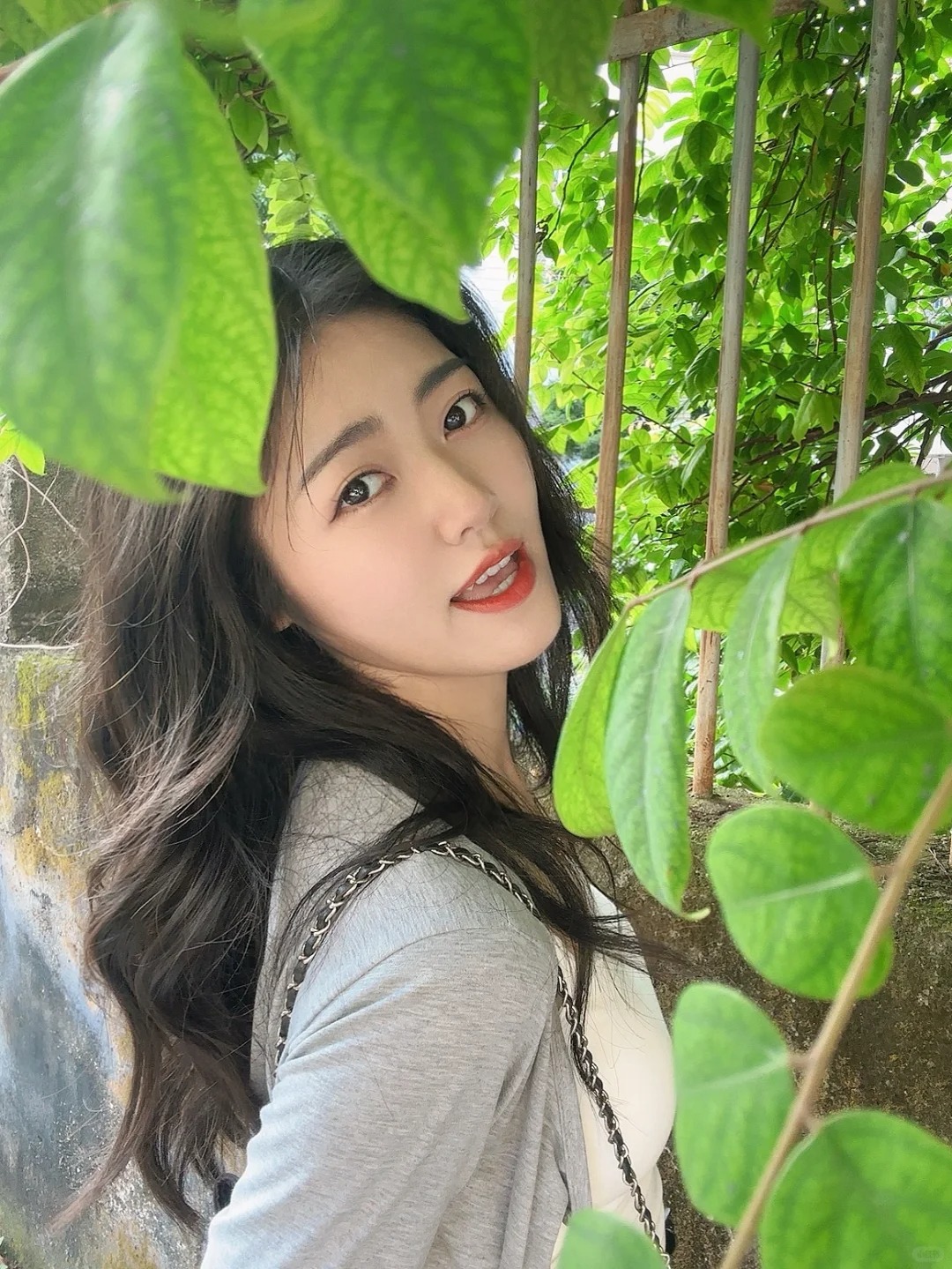 风是绿色的呼吸🍃