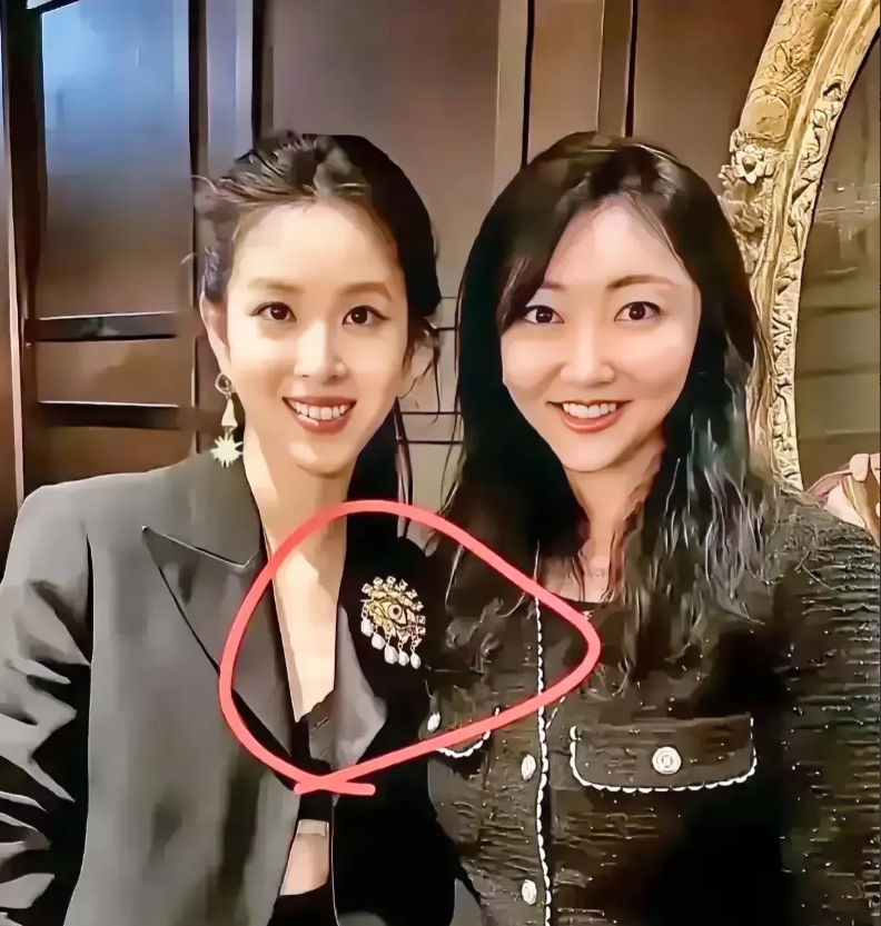 最近章泽天佩戴胸章，参加集会的视频被广泛讨论。

这枚疑似光明会胸章的配饰，瞬间