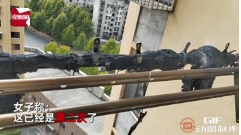 “必须严惩！”安徽铜陵，一女子把屋内的被褥，拿到阳台上晾晒，去去霉味，万万没想到