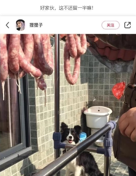 这不还留一半嘛