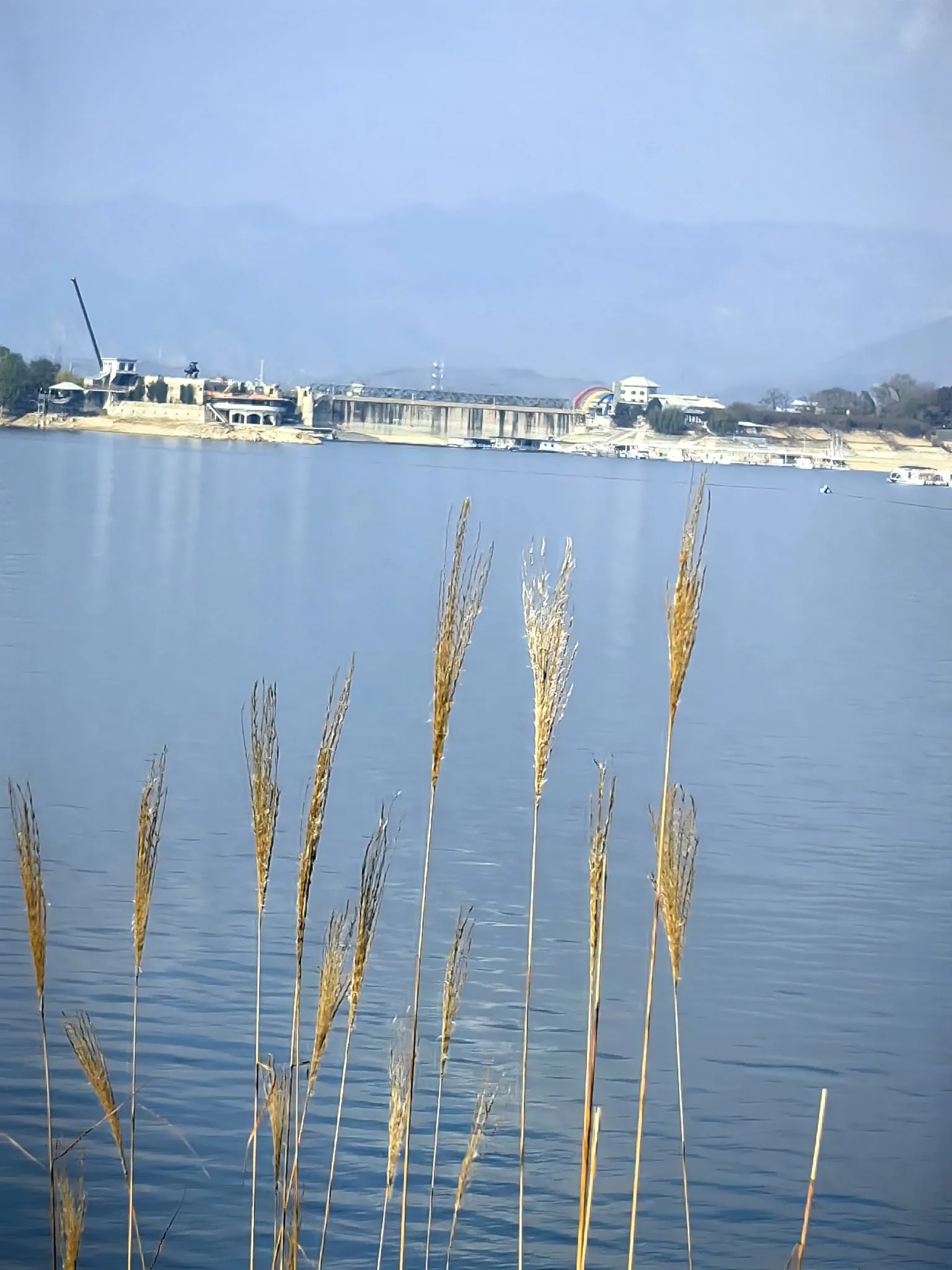 碧波荡漾金海湖。 捡拾了一段桑树的根，下次再去登山锯齿崖