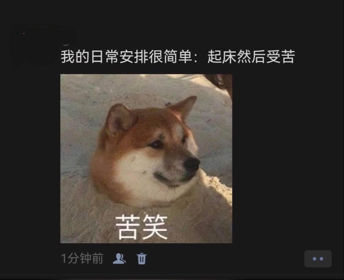 我的日常安排很简单