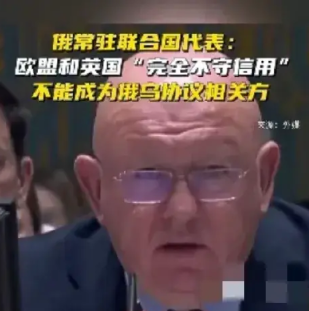 俄罗斯不让欧盟和英国参与俄乌和谈的理由倒是很有趣？

俄罗斯常驻联合国代表涅边贾