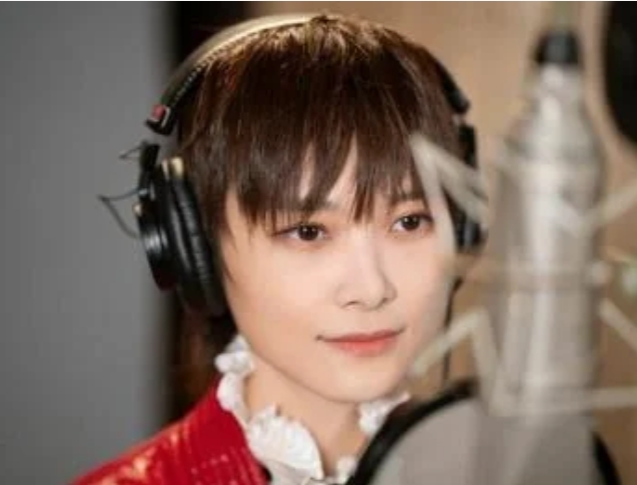 李宇春的职业生涯