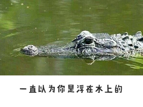 看的好意外啊