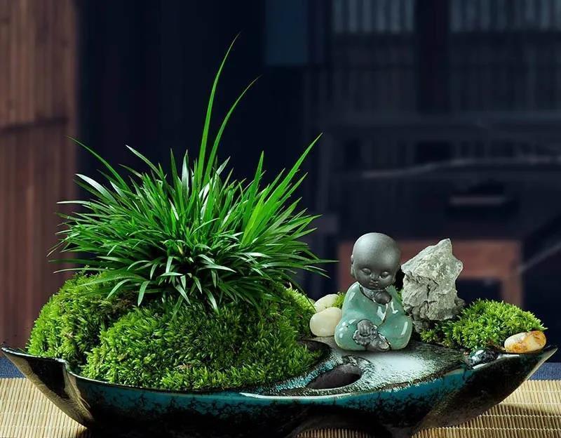 






“偶闲种蒲草,露气落庭深。”
别以为菖蒲只是不起眼的小草，这种草可