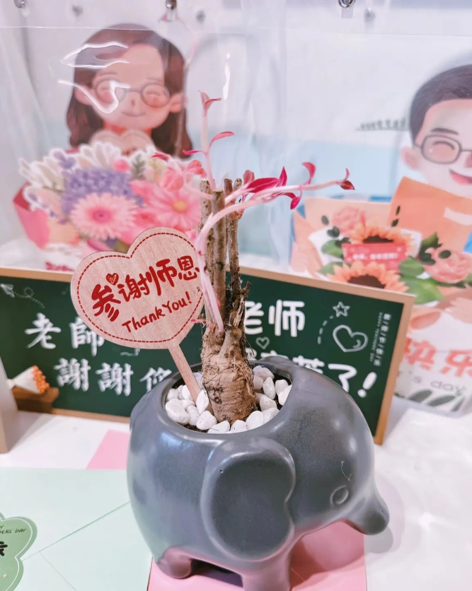 教师节到了，有些家长们考虑最多的，是不是给老师送礼的问题？送什么？怎么送？让人头