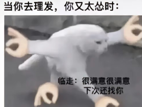 当你去理发，你又太怂时