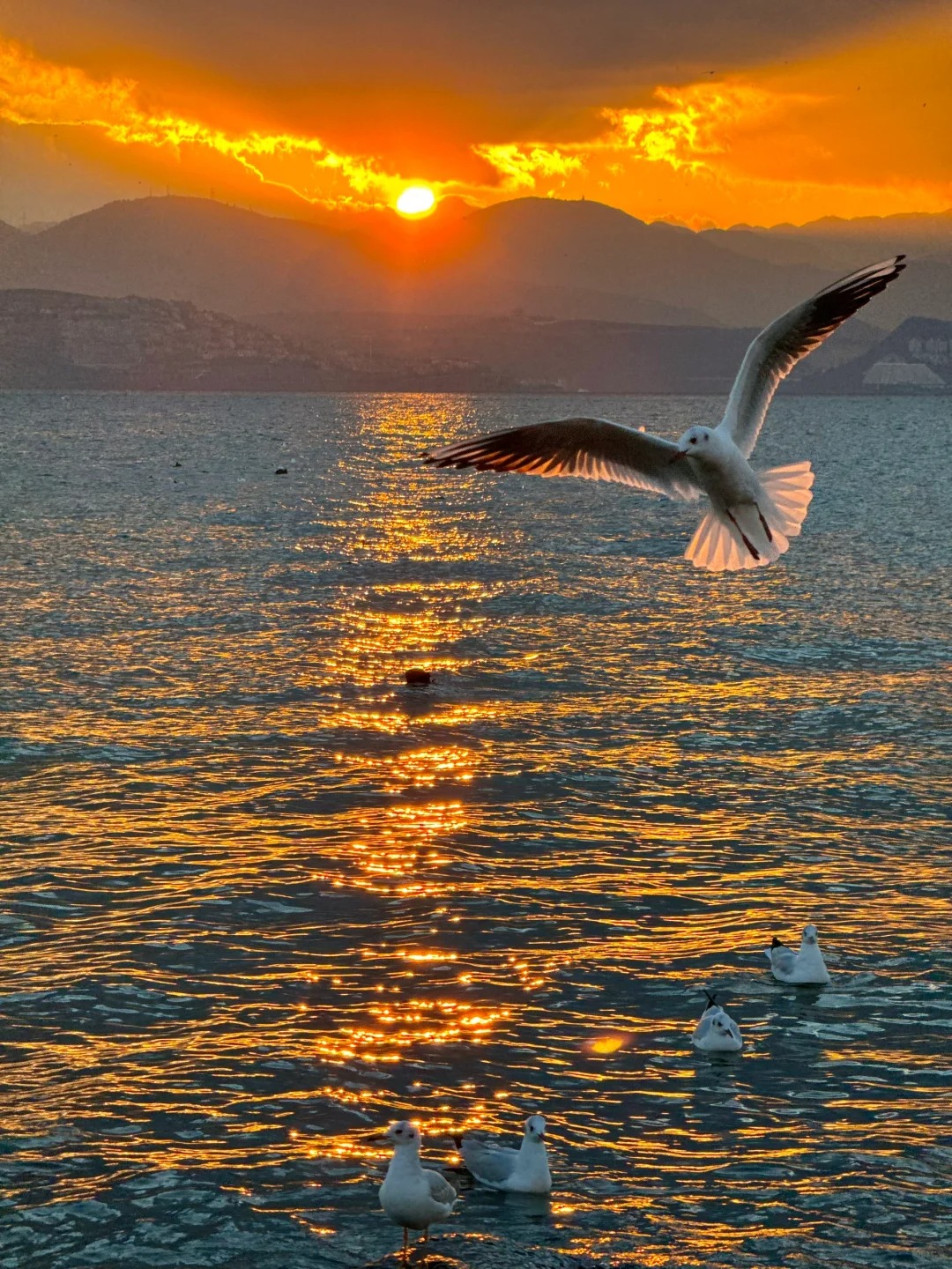 iPhone 15promax拍照真的好好看！！
live图真的太有生命力了！