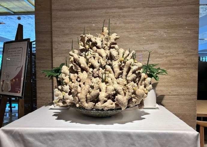 居然是一盆生姜