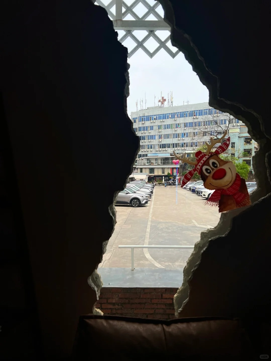 惠州探店
根咖啡
店面很大 很好拍
建议坐沙发这个位置 怎么拍都好看
推荐油柑冰