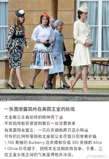 一张图泄露凯特在英国王室的处境 ​