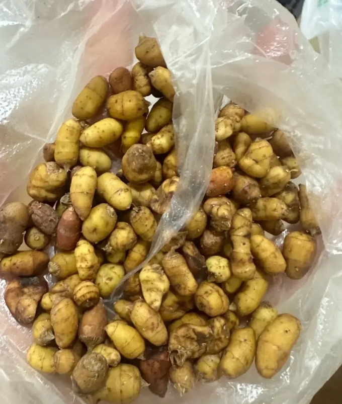 去闺蜜家做客，闺蜜的母亲拿出来了一袋子吃的，让我和闺蜜一边聊天一边吃，我以为是就