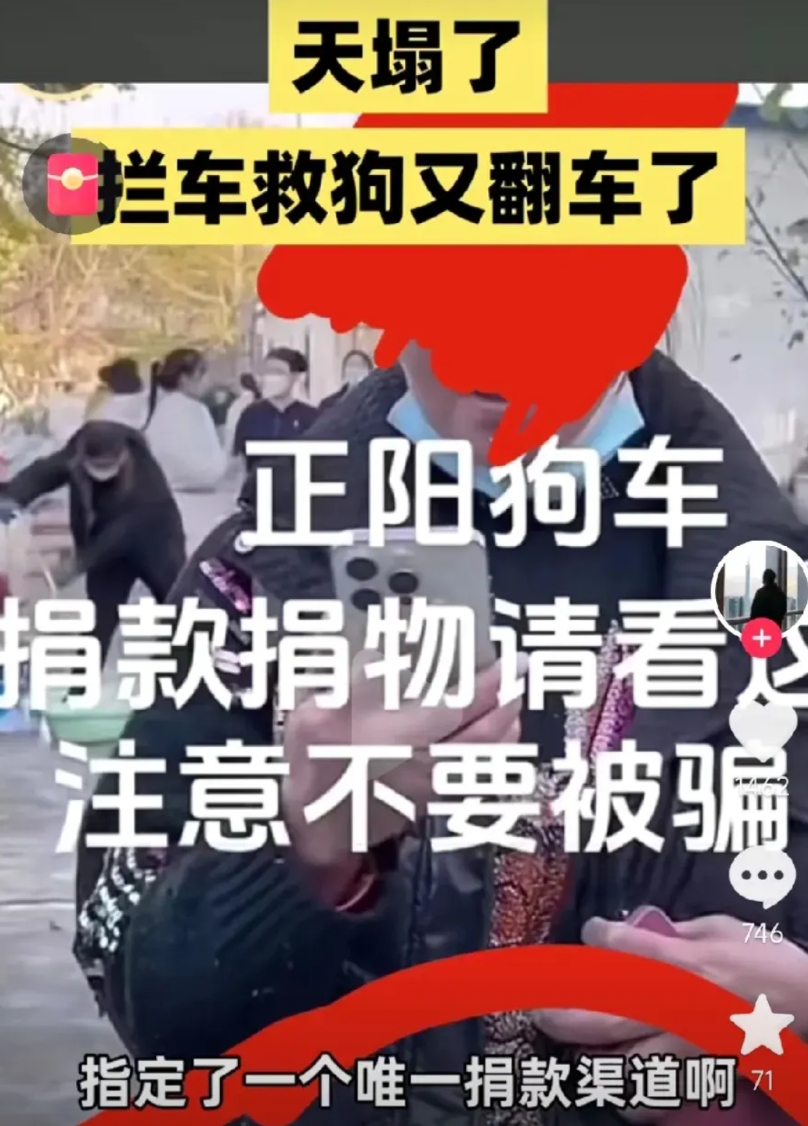 最近所谓的拦车救狗闹剧就是少数骗子利用爱心指挥一群傻子大捞其财的一门好生意。比如