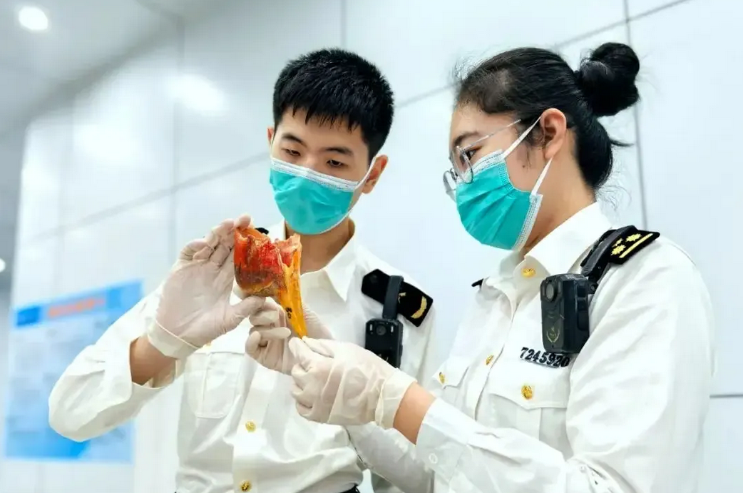 用小鸟头骨制作工艺品，手法太残忍！广西东兴口岸，一名男子背着背包匆匆进境，在进行