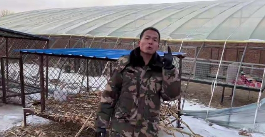个人认为潘宏的视频虽然有时候有些夸张，那是为了剧情效果，实际上对于很多恶狗，
