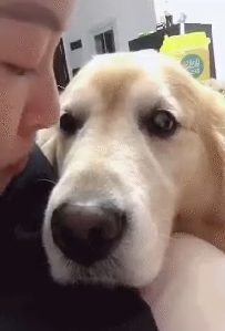 你自己又不是没媳妇