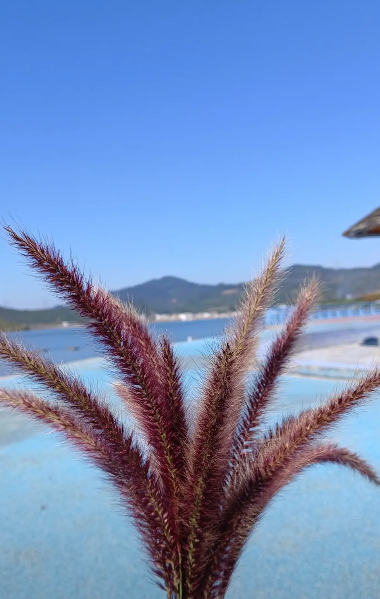 很多教书厉害的老师，教学成绩优秀，学生家长无不竖起大拇指，桃李满天下，可是自家孩