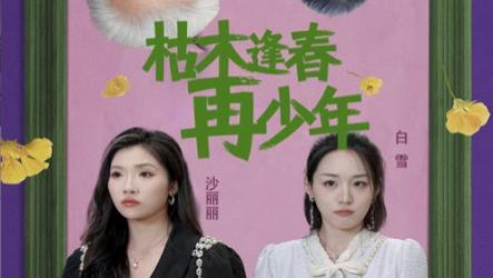 短剧枯木逢春再少年-在线免费观看《枯木逢春再少年》完整版（全53集）孙群、骆虹宇