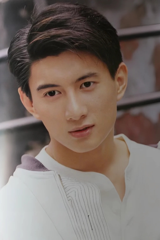 吴奇隆的演艺生涯