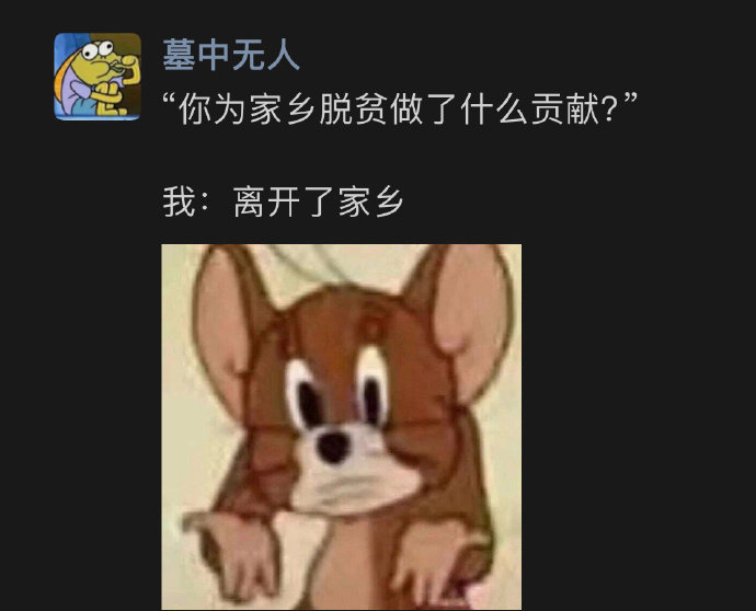 关于你为家乡做的贡献这件事
