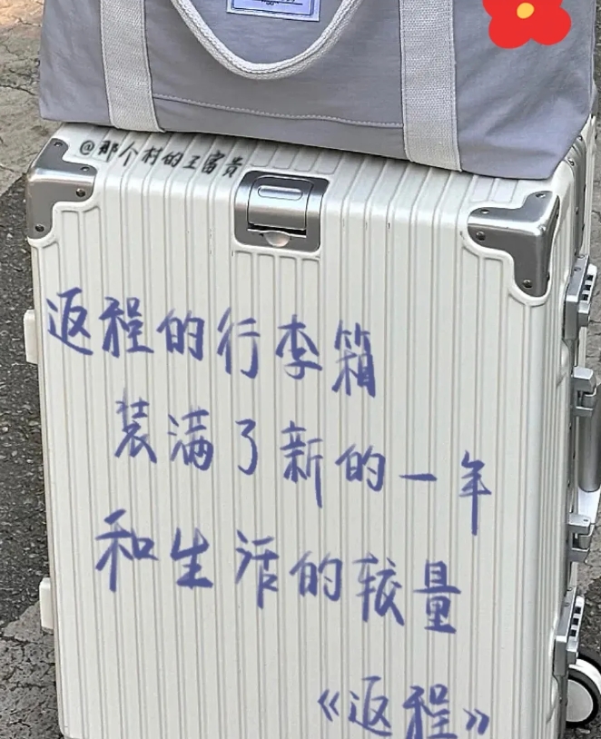今天，女儿踏上了返程之路。
她用力拉着那只承载梦想的
行李箱，奔赴市里开始工作。