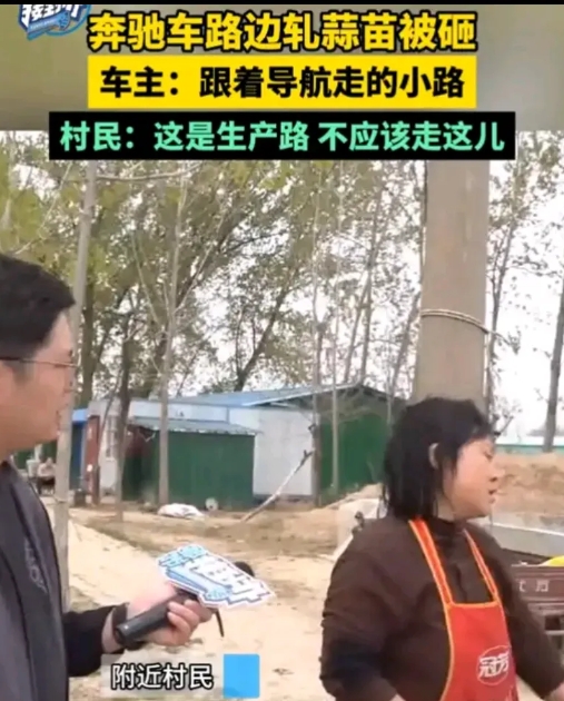 奔驰压蒜苗被砸的行为是正义的，大家要搞清楚不是蒜苗在公共场合被压，而是在自己地里