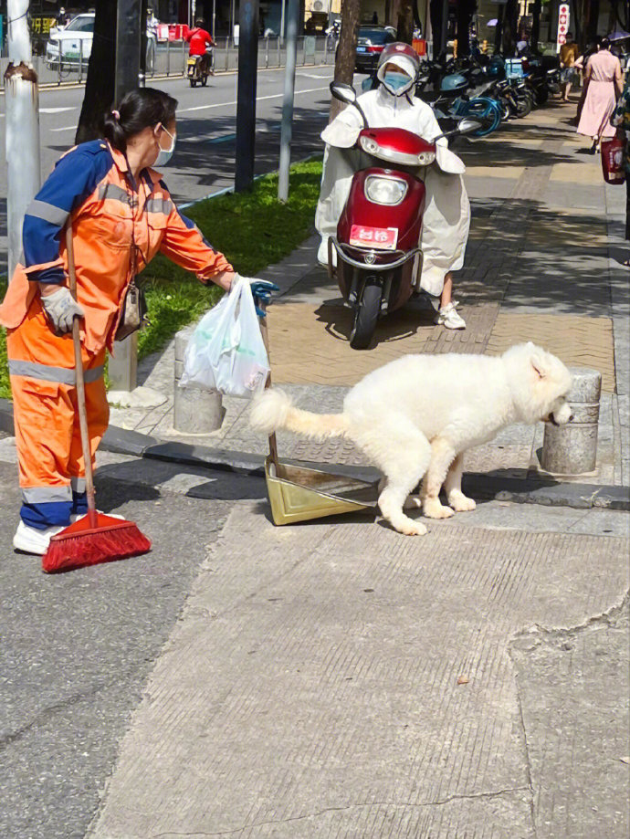 隔着屏幕都能感受到他的尴尬