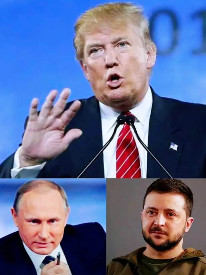 种种迹象表明，普京成了大赢家！

据九卦消息，特朗普已派高级别代表空降莫斯科，美
