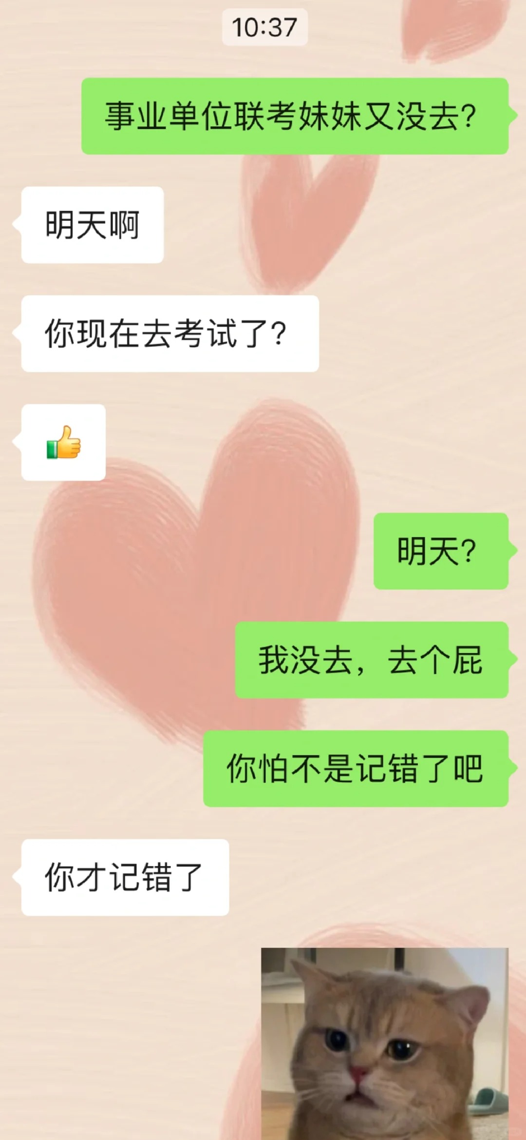 关于自己记错联考时间，还和npy吵了一架
事情是我以为是周六考试，也就是今天，因