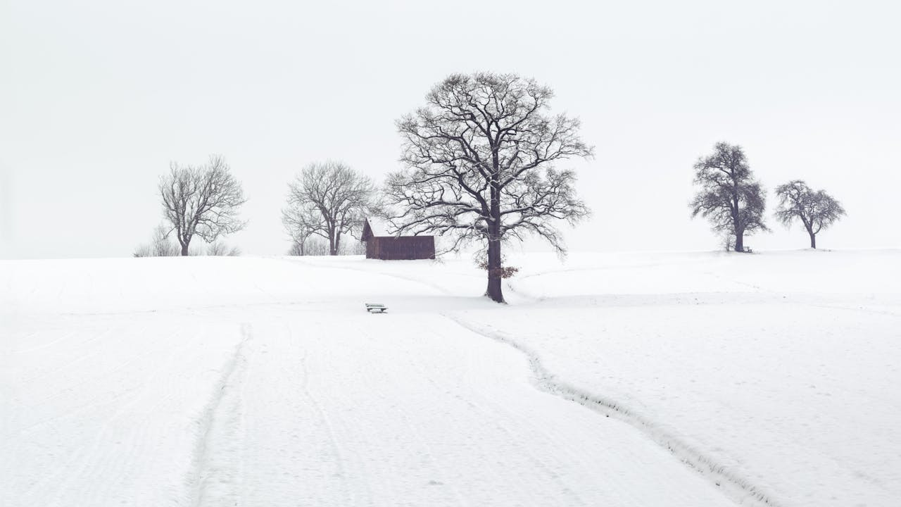 双语节气|“大雪”用英语怎么说？大雪诗词英译