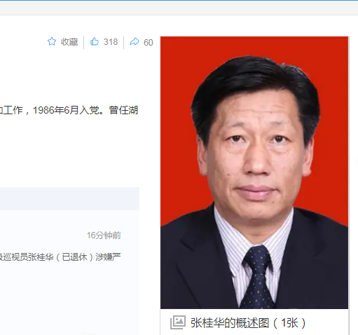 中纪委消息，张桂华被查
