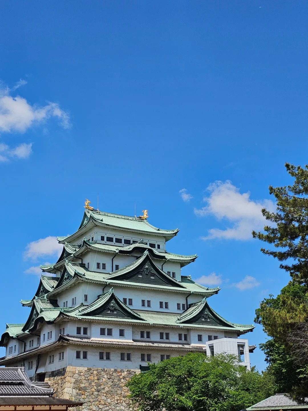 日本少放盐要判几年
来日本的第三天，开始喉咙痛了
不看照片不知道一点青菜都没有
